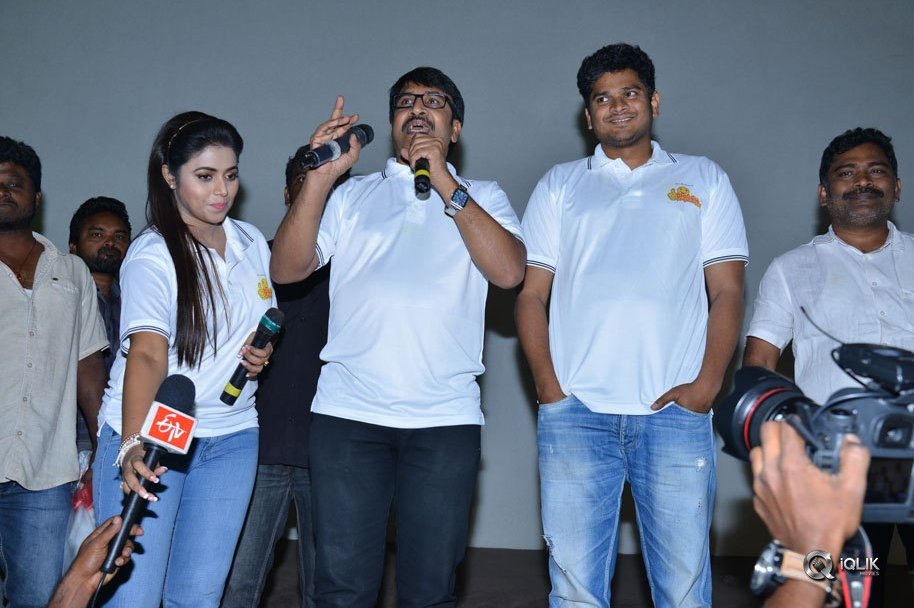 Jayammu-Nischayammu-Raa-Movie-Team-At-Satyam-Theatre